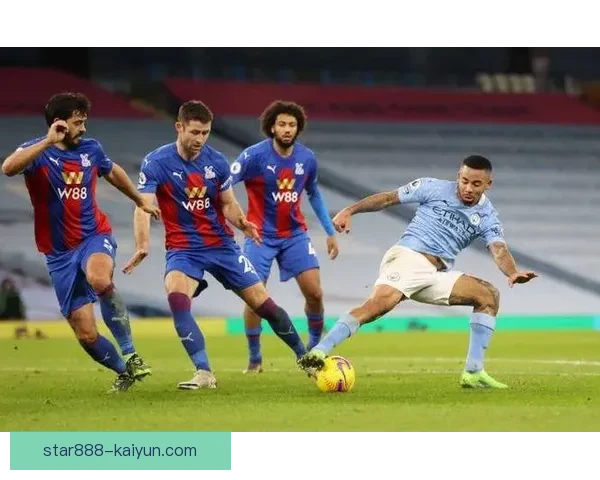 英超水晶宫球迷抗议活动引发关注，传达对俱乐部管理不满的声音